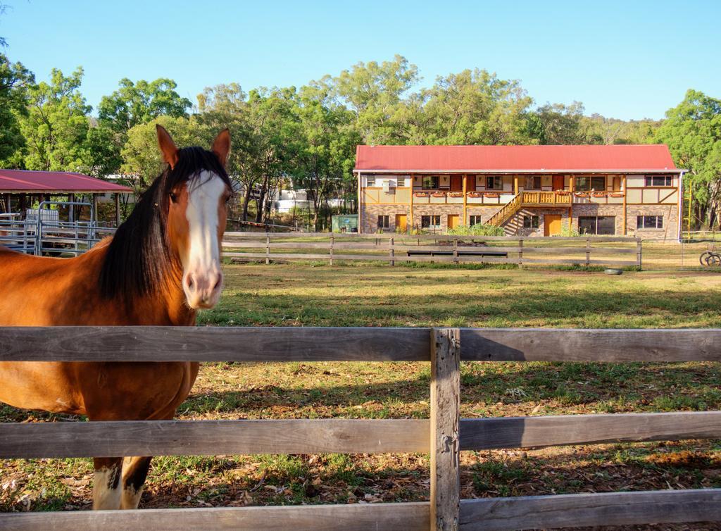 Pilliga Pottery Creative Farmstay 库纳巴拉布兰 客房 照片